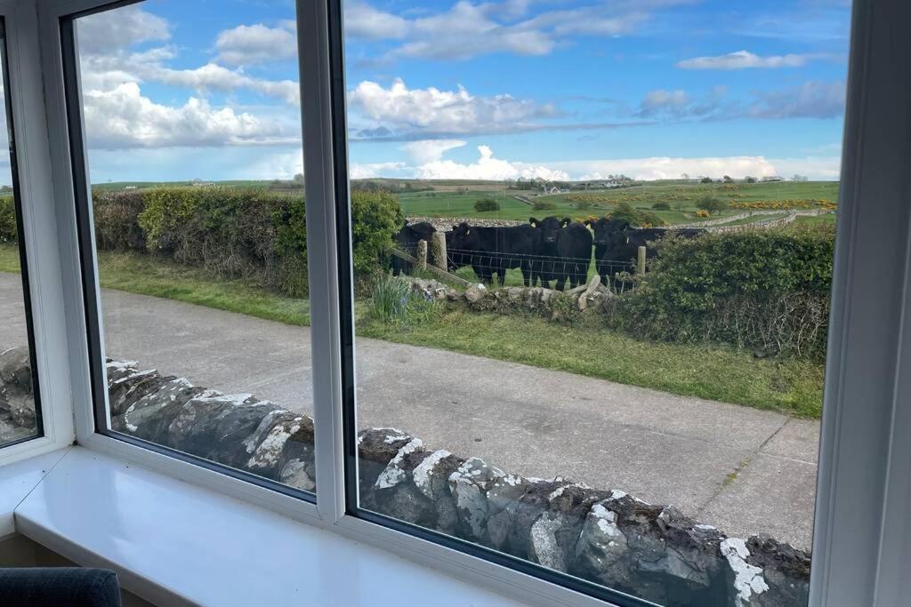 Galloway Farmstay Broughton Newton Stewart Eksteriør billede